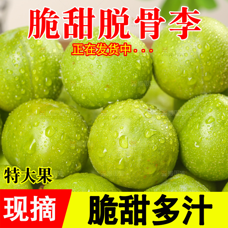 木底上的脱骨李