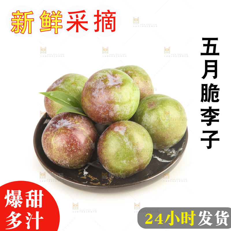 白底上的五月脆