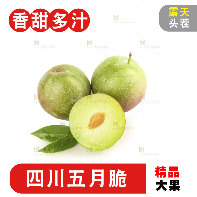 白底上的五月脆