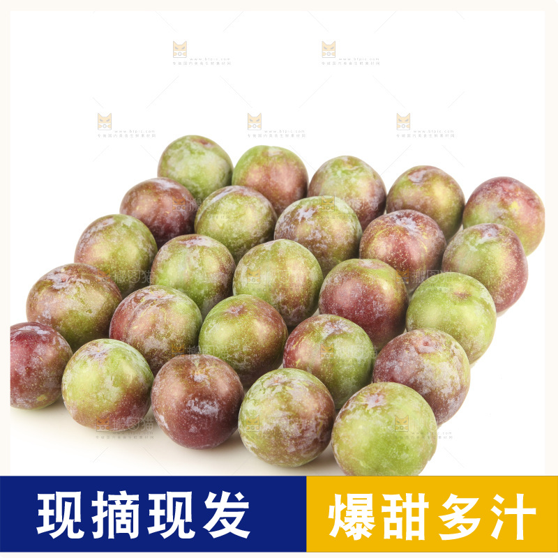 白底上的五月脆
