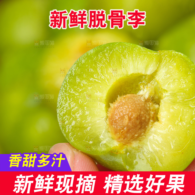 木底上的脱骨李