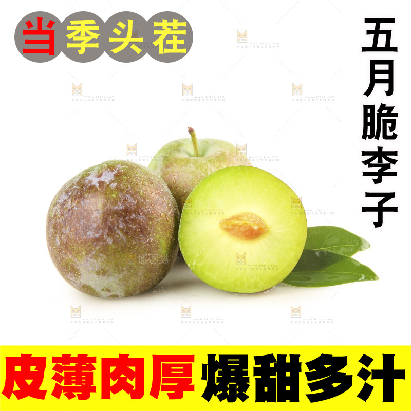 白底上的五月脆