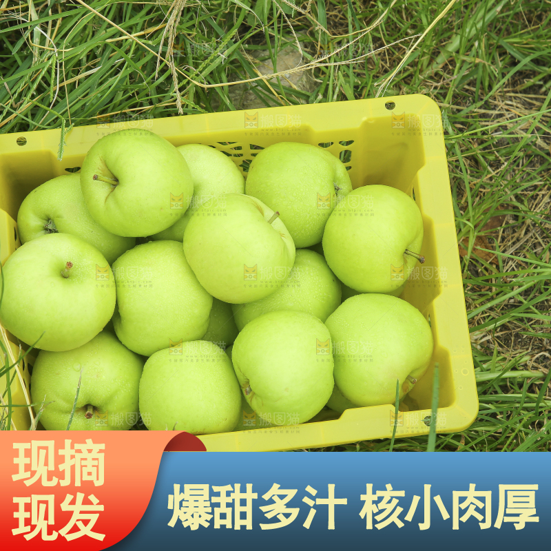 手里拿着青苹果