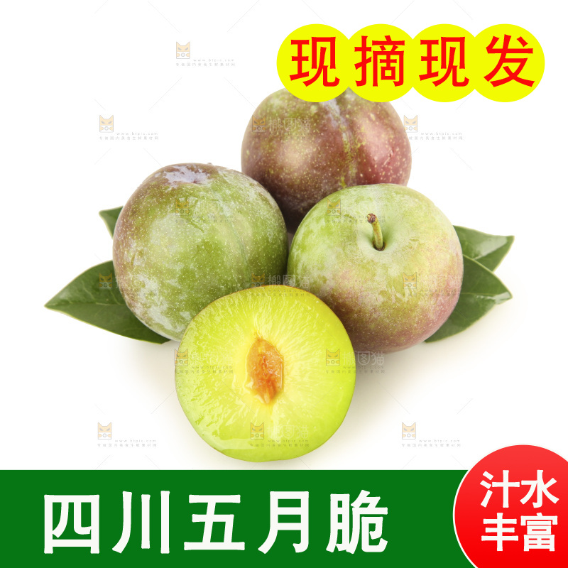 白底上的五月脆