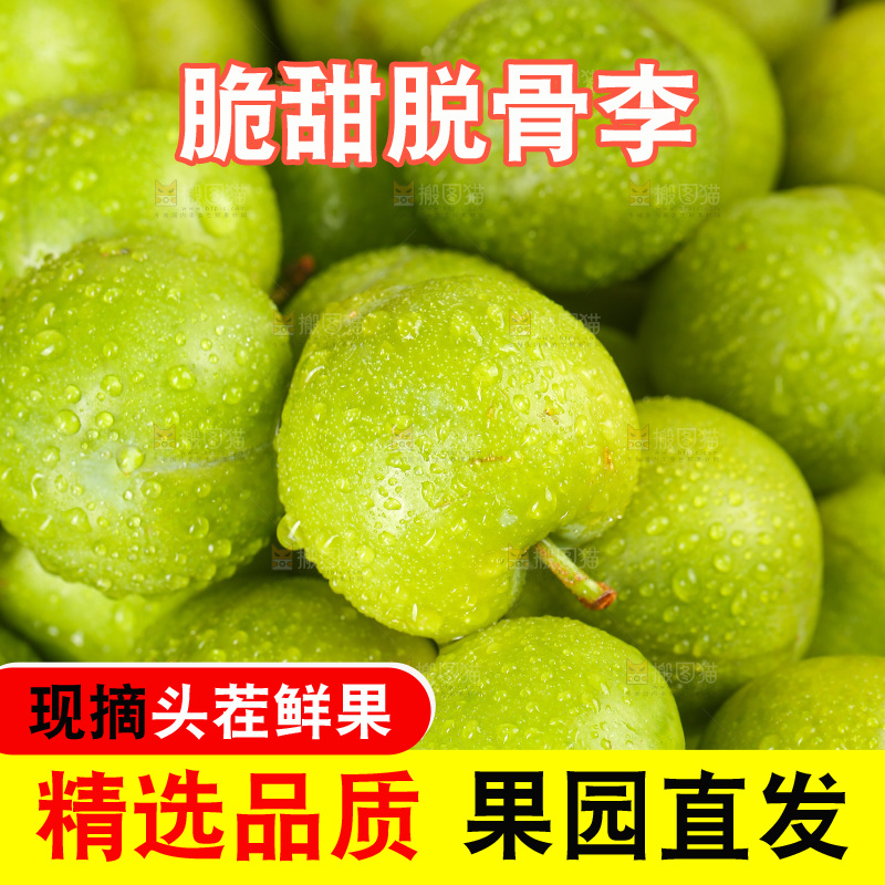 木底上的脱骨李