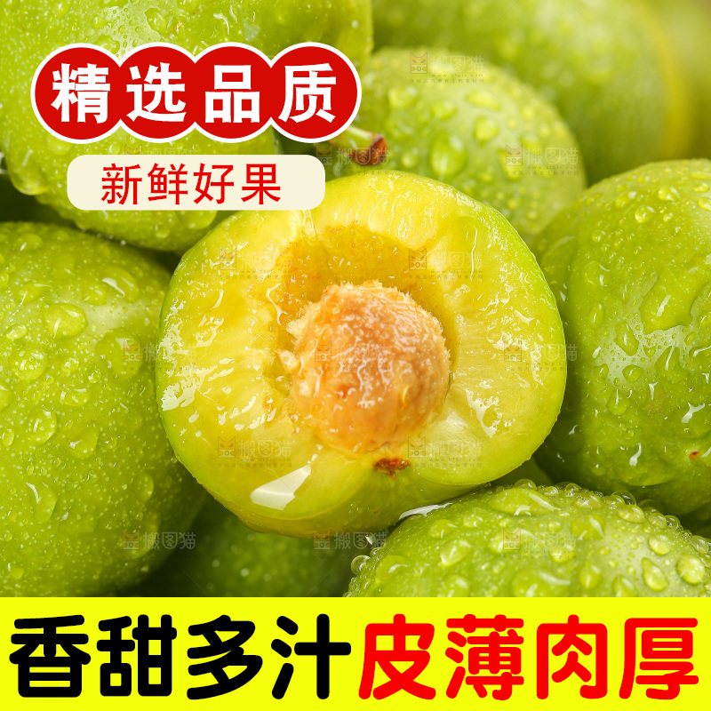 木底上的脱骨李