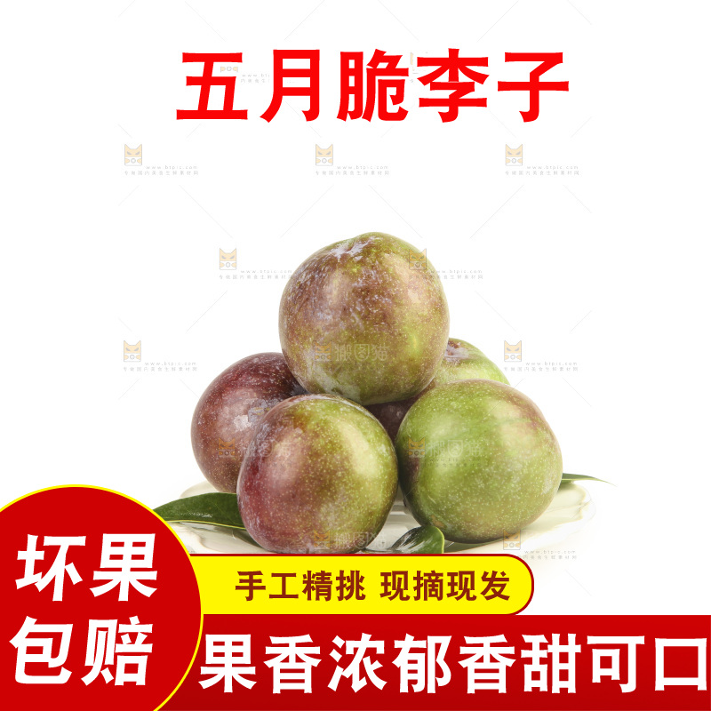 白底上的五月脆
