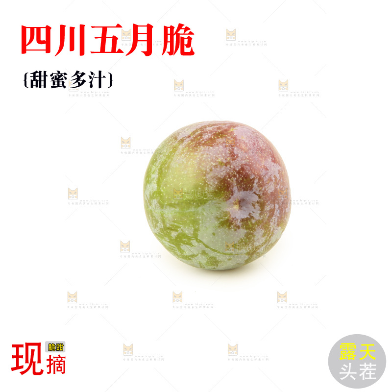 白底上的五月脆