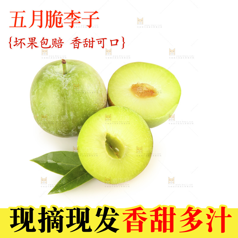 白底上的五月脆