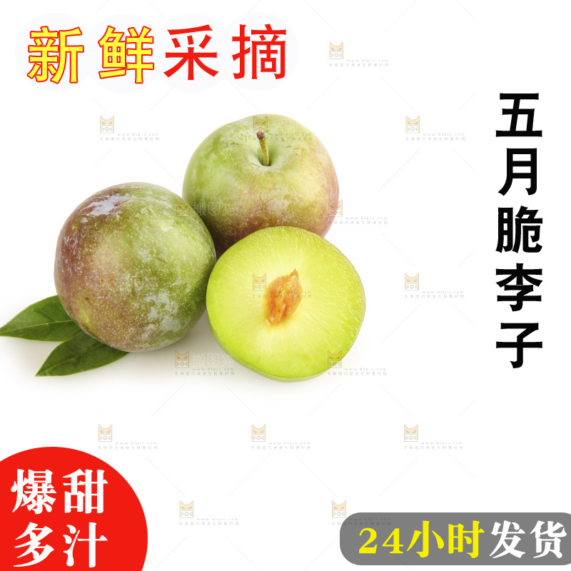 白底上的五月脆