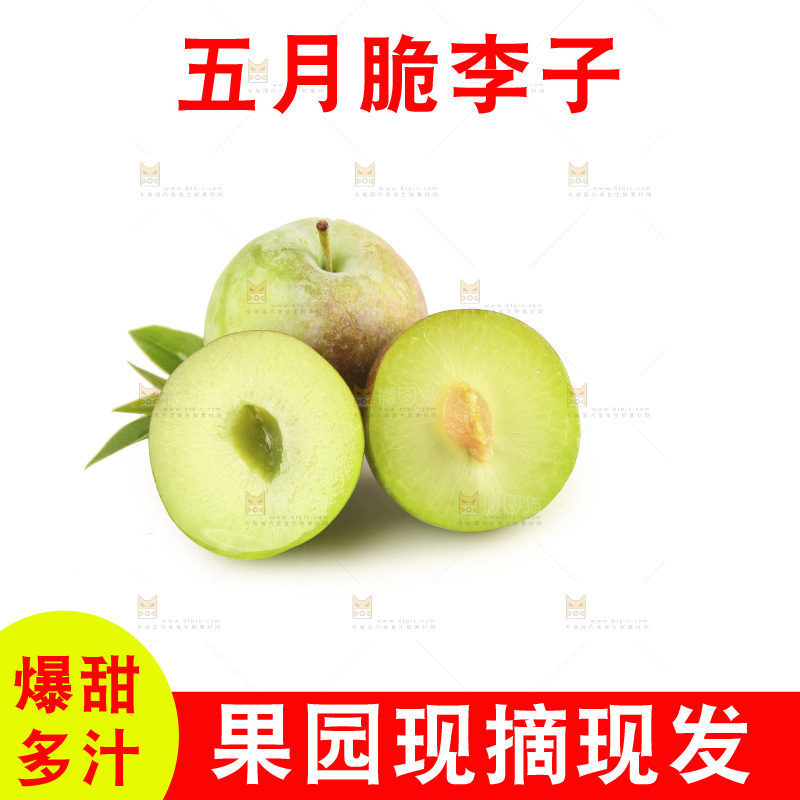 白底上的五月脆