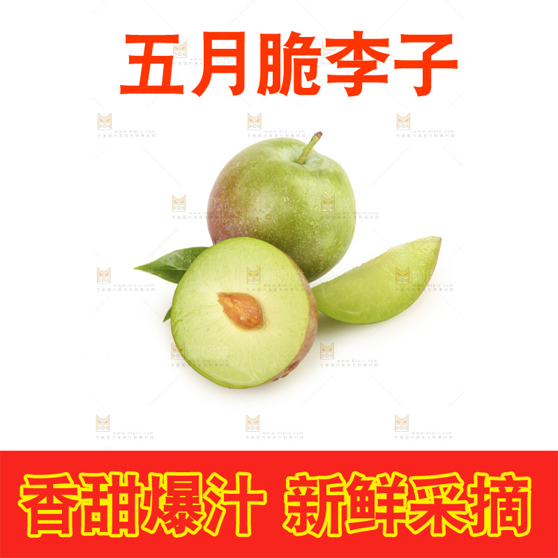 白底上的五月脆