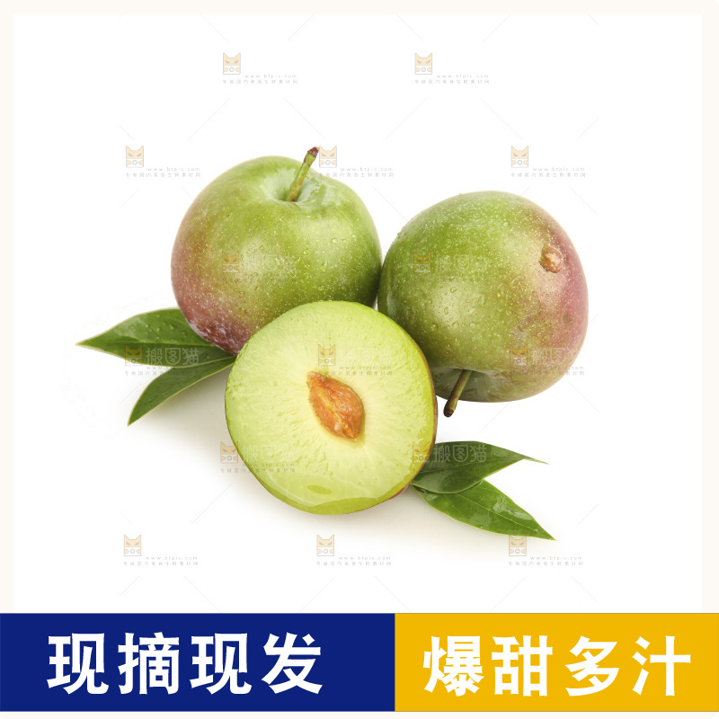 白底上的五月脆