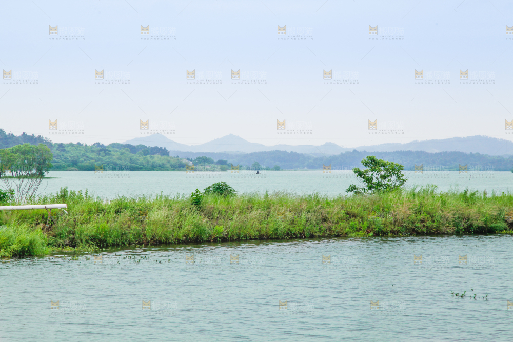 户外风景河水