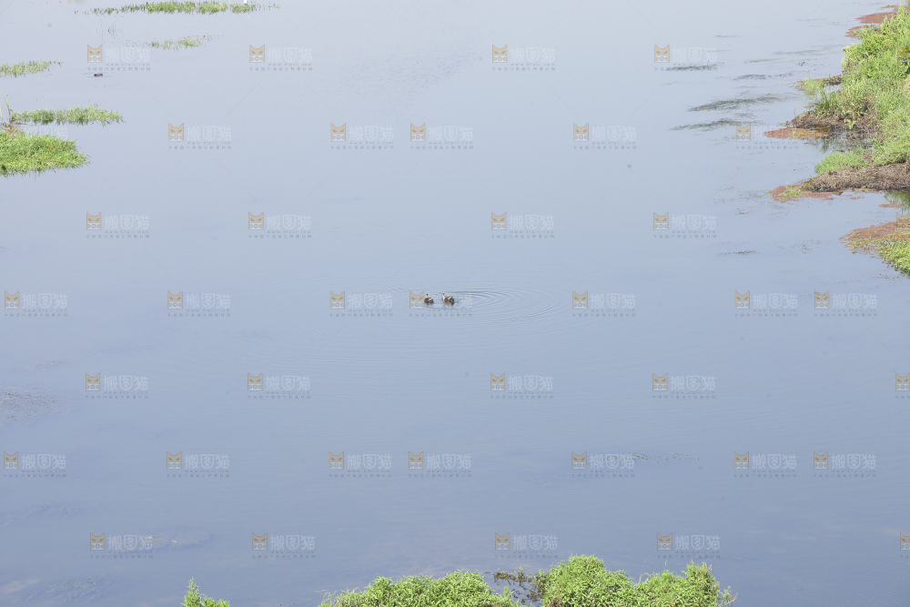 清澈风底的湖水