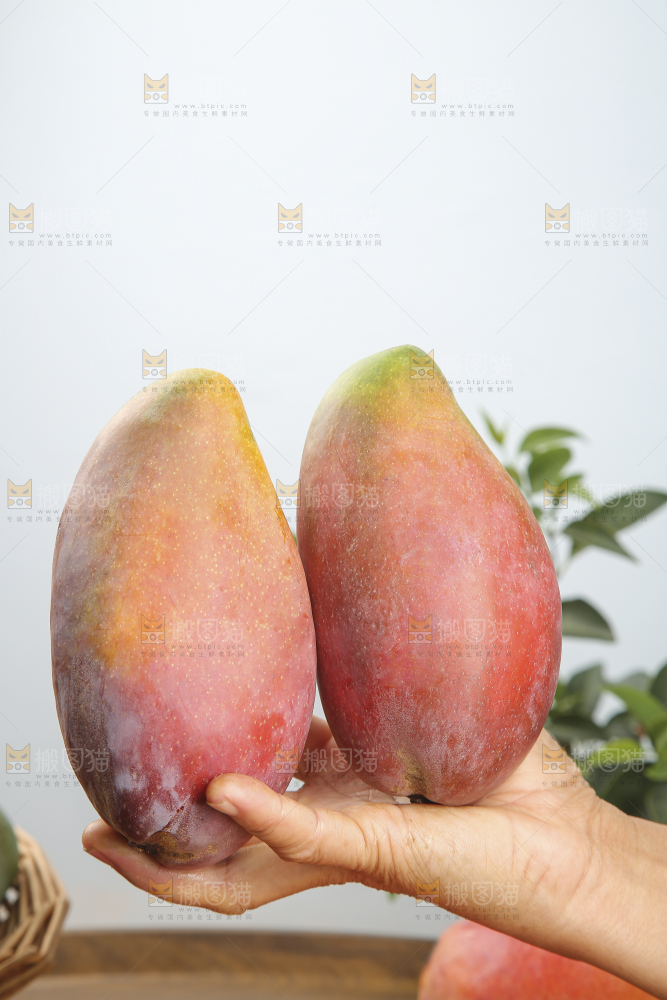 彩芒