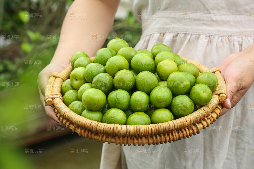 手里拿着脱骨李