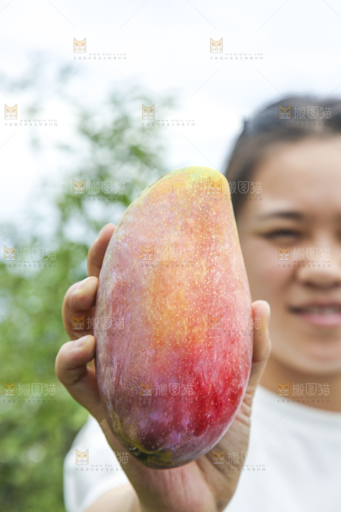 手里拿着贵妃芒