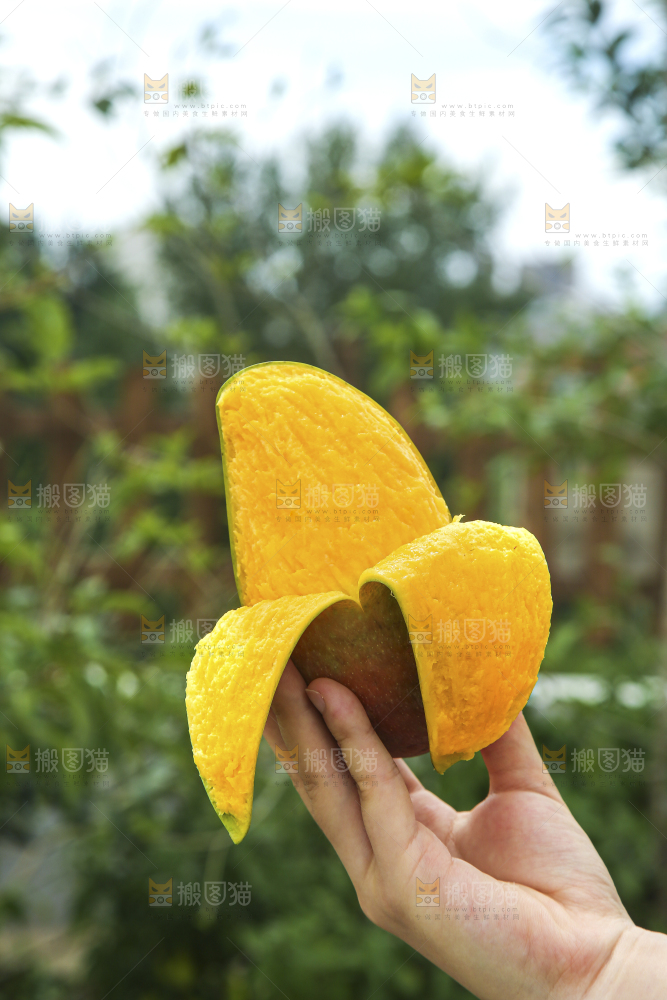 手里拿着贵妃芒