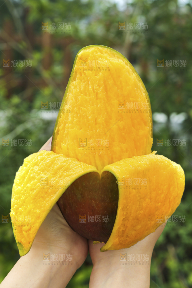 手里拿着贵妃芒