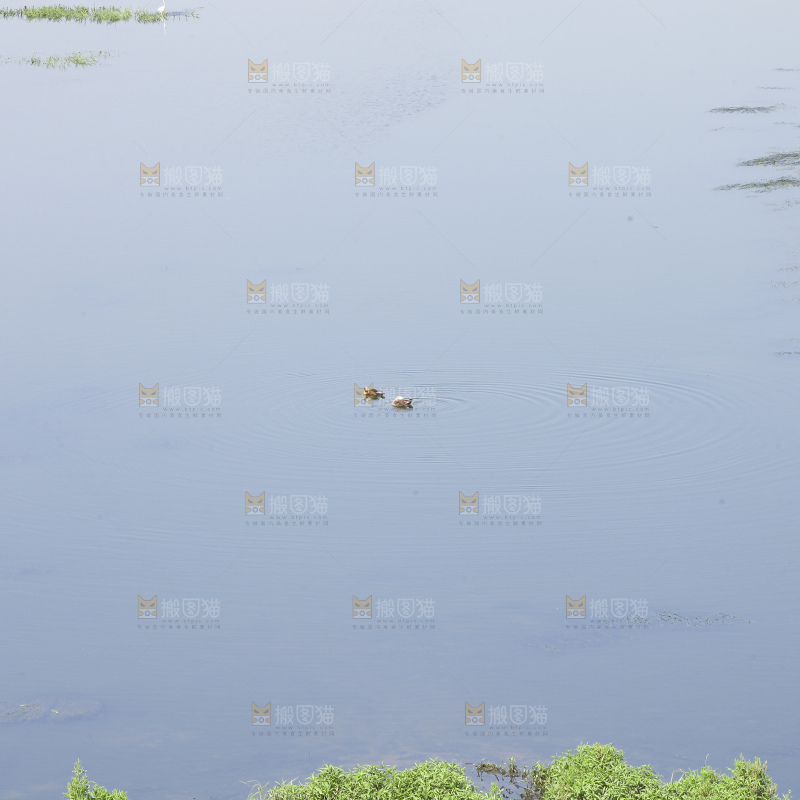 清澈风底的湖水