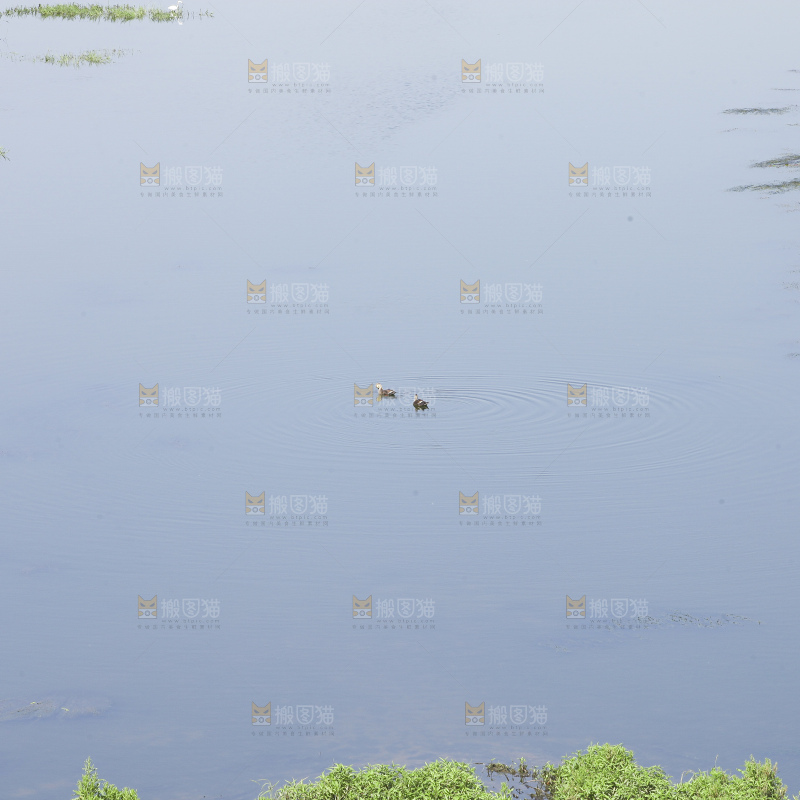清澈风底的湖水