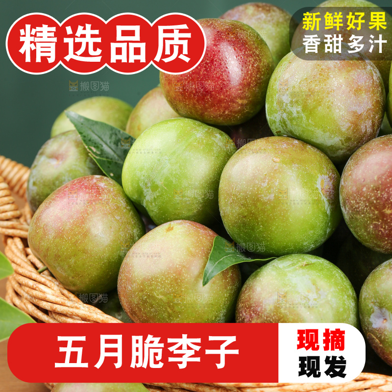 木底上的五月脆
