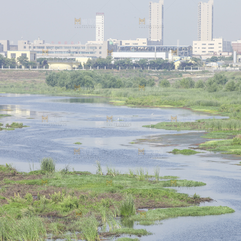 户外风景河水