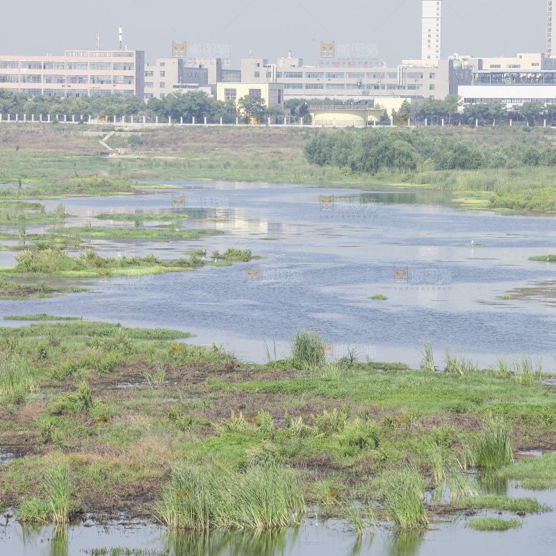 户外风景河水