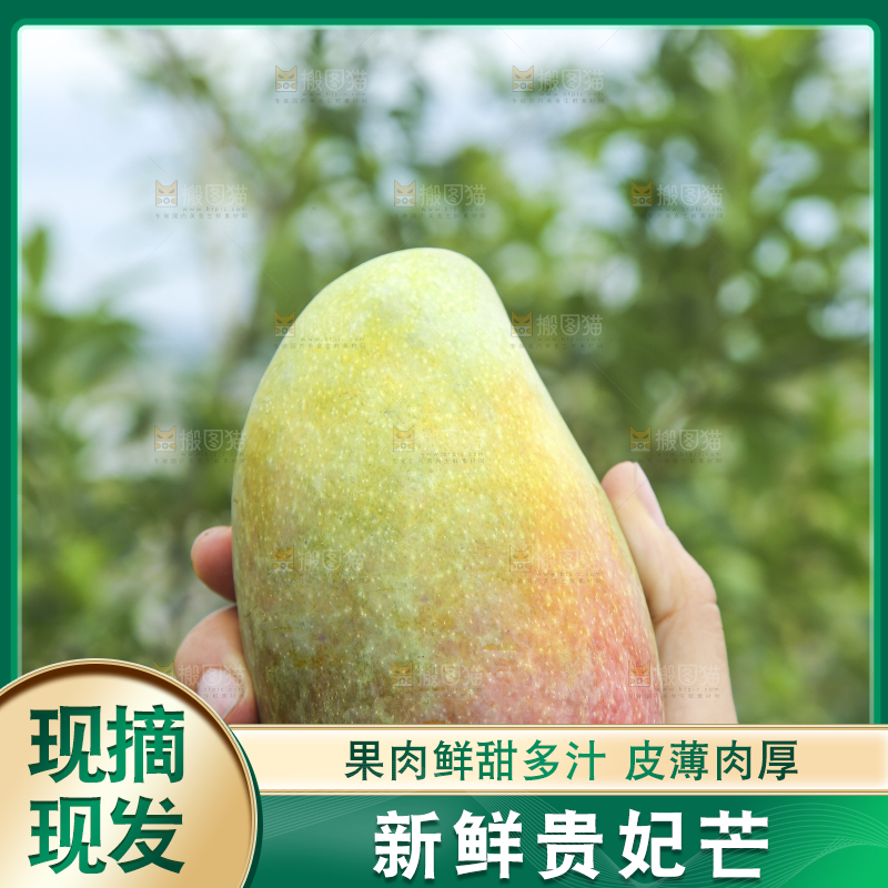 手里拿着贵妃芒