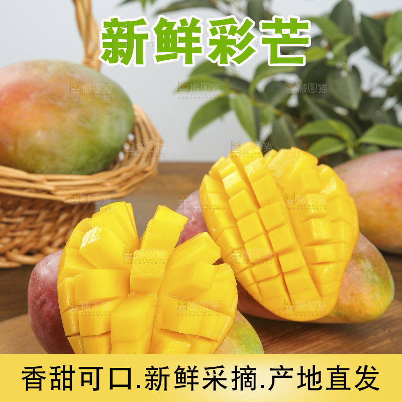 木底上放着的彩芒