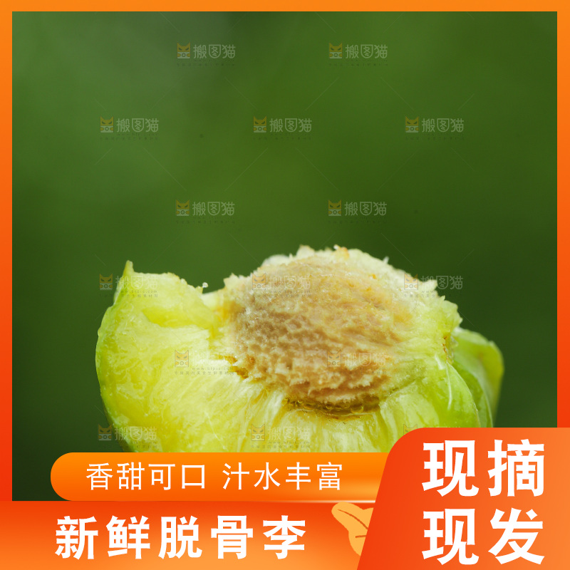 手里拿着脱骨李