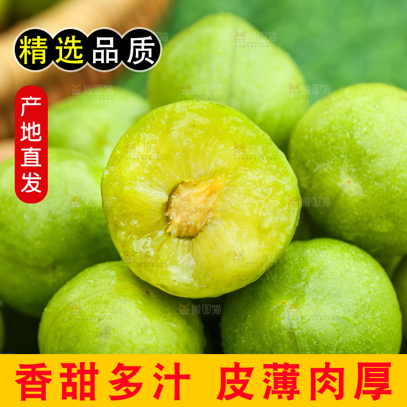 深底上放着的脱骨李