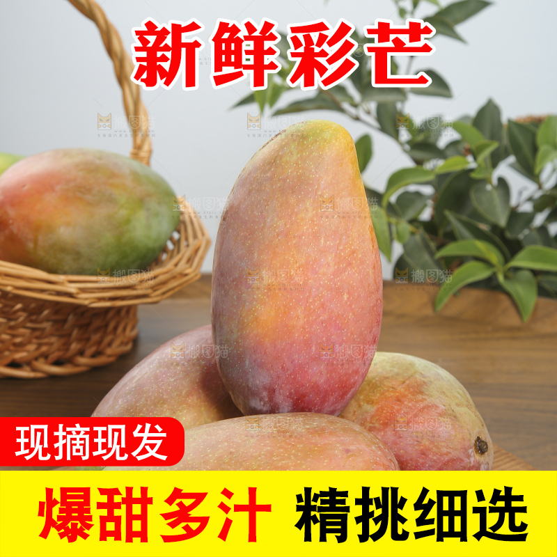 木底上放着的彩芒