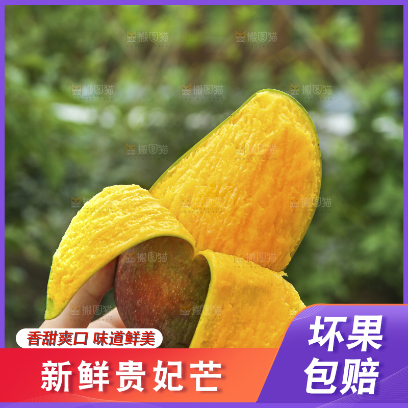 手里拿着贵妃芒