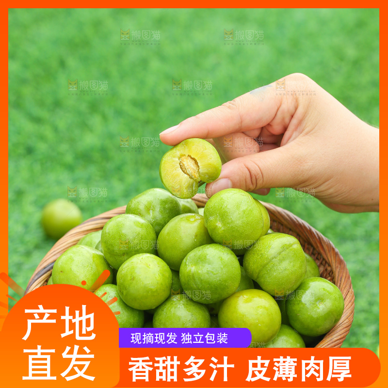 手里拿着脱骨李