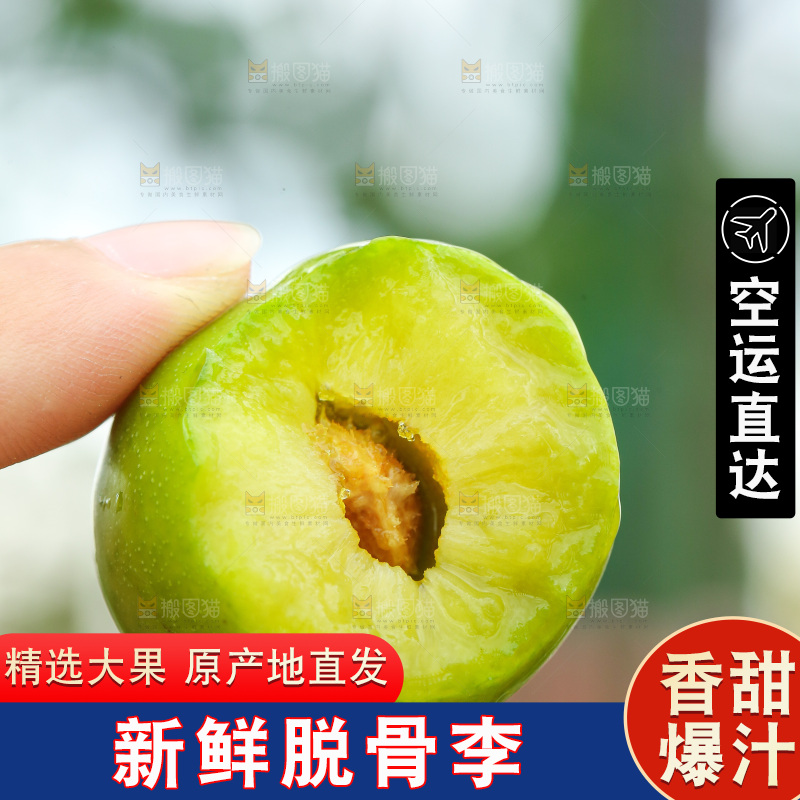 手里拿着脱骨李