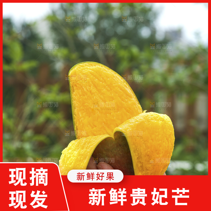 手里拿着贵妃芒
