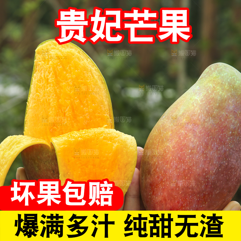 手里拿着贵妃芒