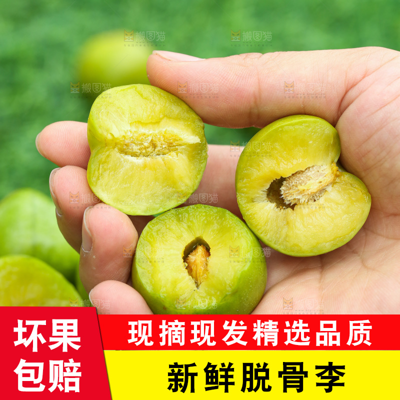 手里拿着脱骨李