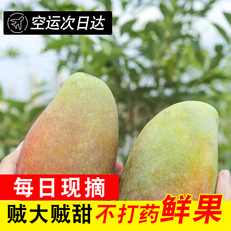 手里拿着贵妃芒