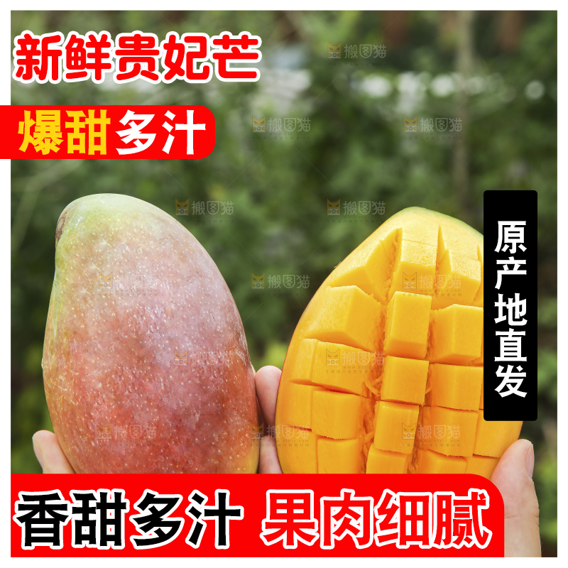 手里拿着贵妃芒