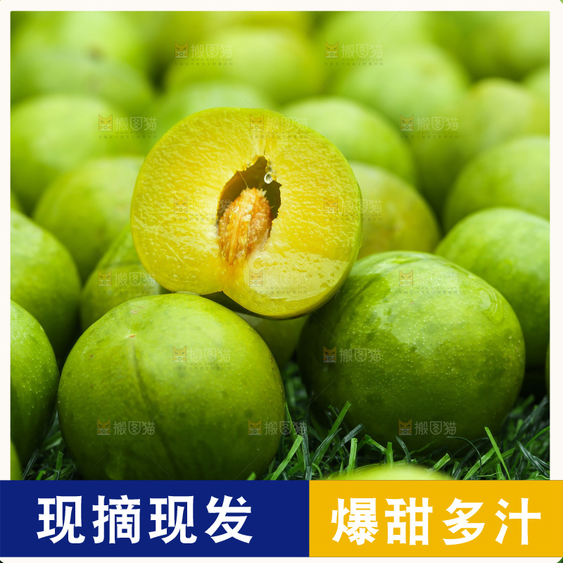 深底上放着的脱骨李