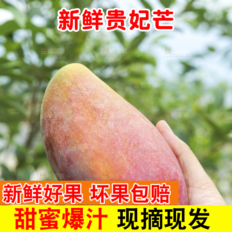 手里拿着贵妃芒