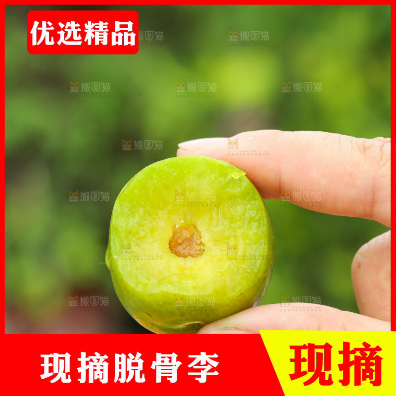 手里拿着脱骨李