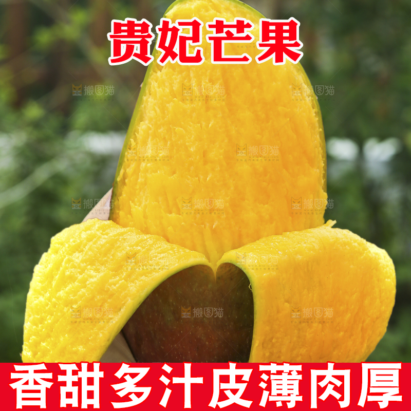 手里拿着贵妃芒