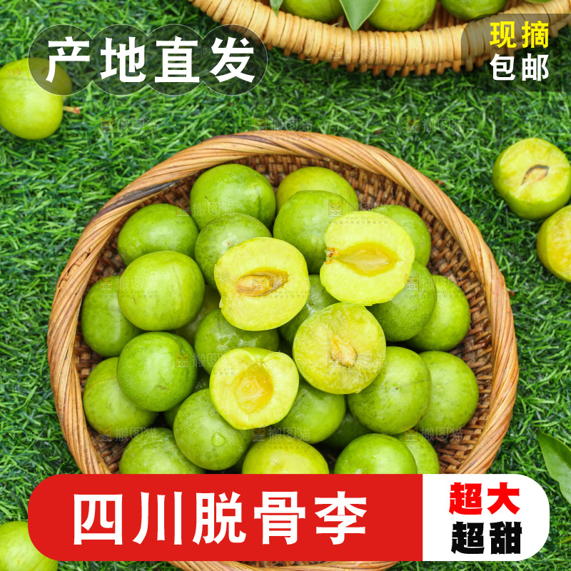 深底上放着的脱骨李