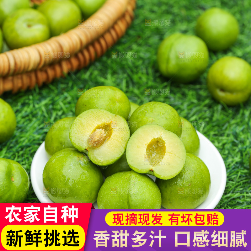 深底上放着的脱骨李