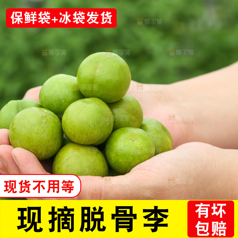 手里拿着脱骨李