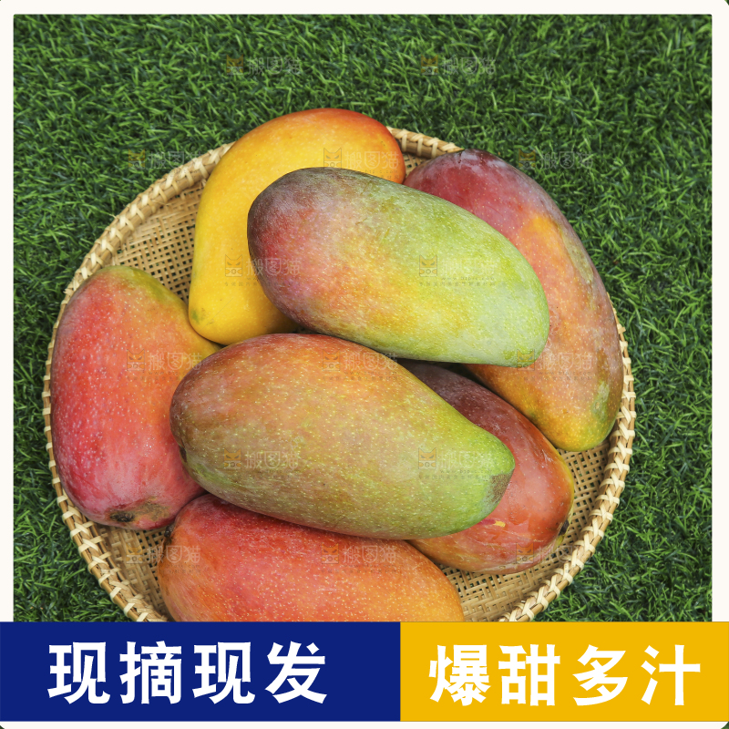 深底上的贵妃芒